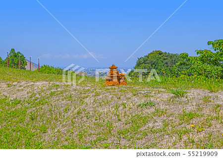Model of distant view and castle from Okazaki Chuo General Park 55219909