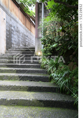 Alley stairs Alley stairs 55219932