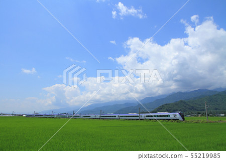 The sky of the big leaves rainy season The sky of the big leaves rainy season 55219985