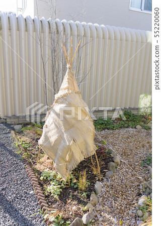 冬天花園雪籬芭 55220060