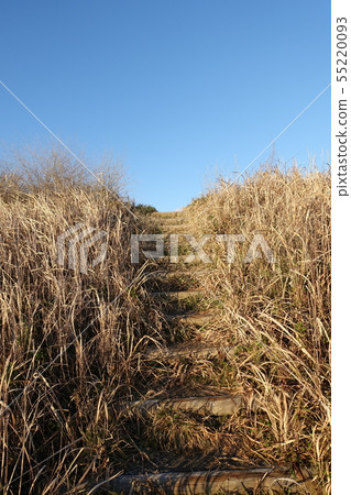 博索半島的海岸山丘 博索半島的海岸山丘 55220093