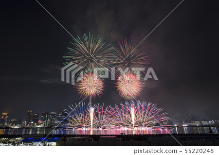 [大阪]浪速淀川煙花節 55220248
