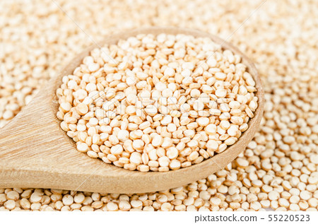 quinoa seeds in spoon. 55220523