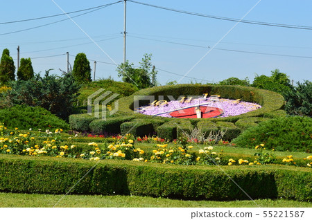 Landscape design of flower arrangements Landscape design of flower arrangements 55221587