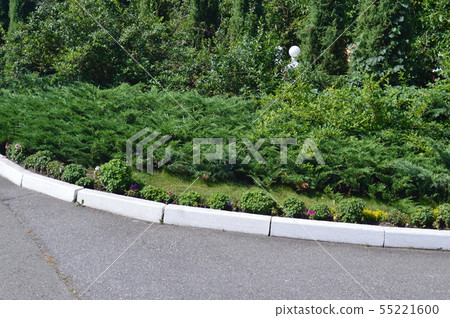 Landscape design of flower arrangements 55221600