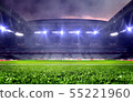 Soccer field stadium with bright spotlights 55221960
