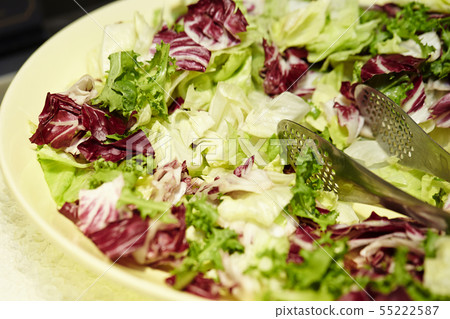 蔬菜沙拉葉蔬菜 蔬菜沙拉葉蔬菜 55222587