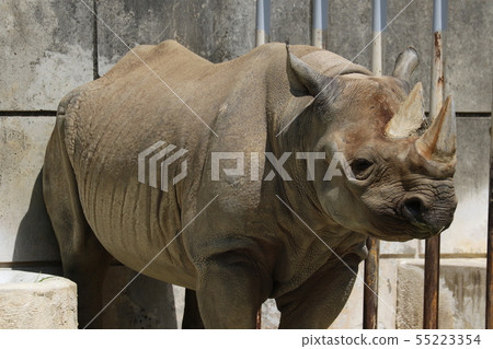 東山動物園和植物園G. 55223354