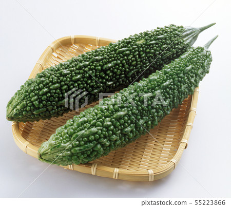 苦瓜 55223866