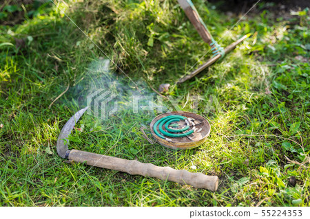 夏季圖像/割草圖像 55224353