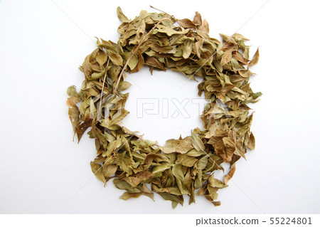 Henna leaves Henna leaves 55224801