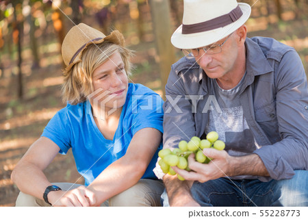 Agricultural checking quality wine grapes 55228773