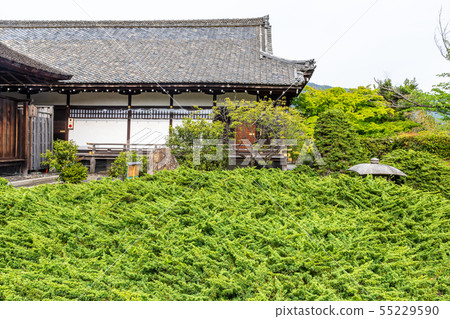 Kyushu-ji Temple Kyuden和Hayabakushin京都市 Kyushu-ji Temple Kyuden和Hayabakushin京都市 55229590