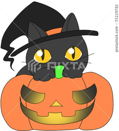 Halloween black cat A Halloween black cat A 55229782