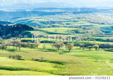 Kuzumi plateau scenery Kuzumi plateau scenery 55230211