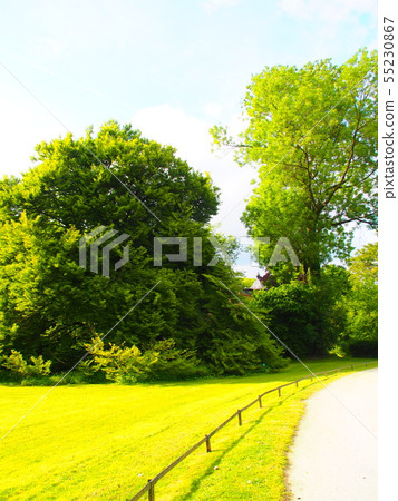 Colomarose Garden in Belgium Colomarose Garden in Belgium 55230867
