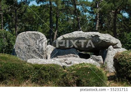 view of the famous dolmen megalith in Carnac - view of the famous dolmen megalith in Carnac - 55231711