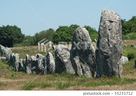 view of famous megalith alignment in Carnac view of famous megalith alignment in Carnac 55231712