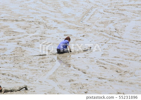 鹿島路站/潮汐體驗（佐賀縣） 55231896