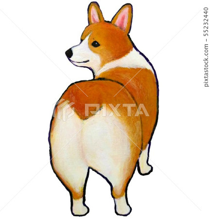 Corgi looking back - Stock Illustration [55232440] - PIXTA