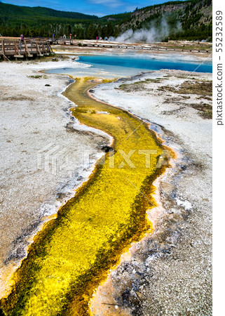 Creek and pool in Biscuit Basin, Yellowstone Creek and pool in Biscuit Basin, Yellowstone 55232589