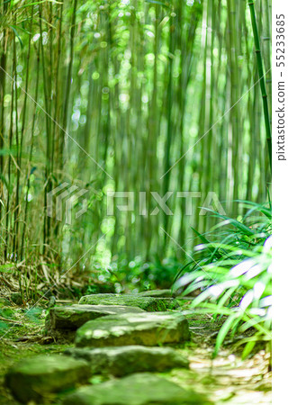Kyoto City Rakusai Bamboo Forest Park Kyoto City Rakusai Bamboo Forest Park 55233685