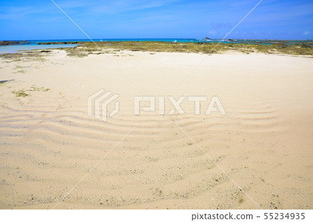 <Amami Oshima> Tomori Coast Landscape 2 55234935