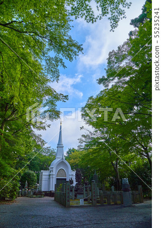 Mount Takao Stupa包裹在東京八王子市的新鮮綠葉中 55235241