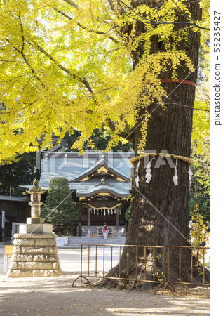 Seven hundred fifty-three colored leaves 55235427