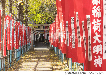 Inari Shrine of autumn leaves 55235428