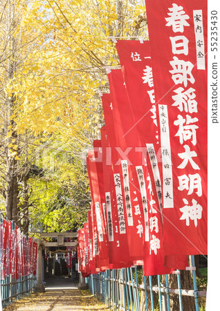 Inari Shrine of autumn leaves 55235430