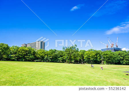 藍天蔓延的住宅區公園 55236142