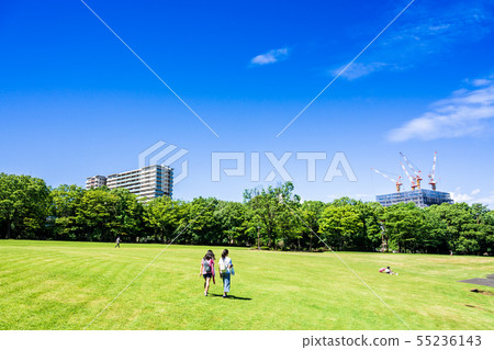A residential area park where the blue sky spreads 55236143