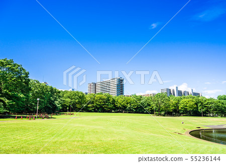 A residential area park where the blue sky spreads A residential area park where the blue sky spreads 55236144