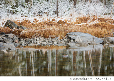 Lake shore landscape after snowfall in Finland 55236197