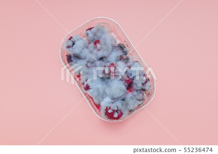 Closeup of rotten moldy raspberry in plastic box 55236474