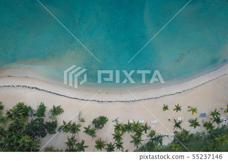 Aerial view of Samana beach 55237146