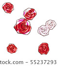 Roses Roses 55237293