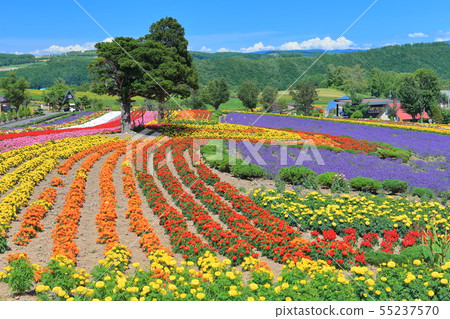 [Hokkaido fine weather] Mizuruzerunooka 55237570