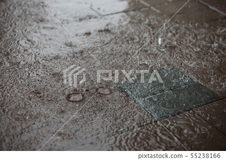 Capture the moment a drop falls Capture the moment a drop falls 55238166