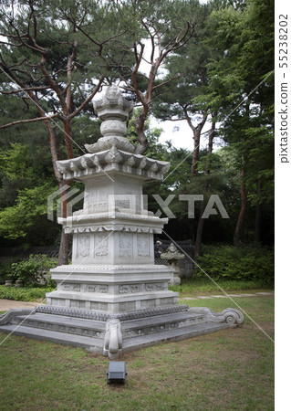 A stone pagoda built in a garden 55238202