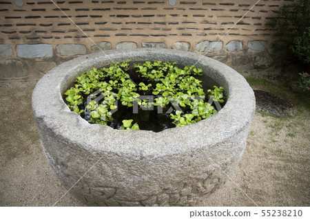 Water hyacinth in a stone pond Water hyacinth in a stone pond 55238210