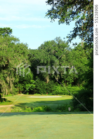 USA East Coast South Carolina Charleston Golf Course USA East Coast South Carolina Charleston Golf Course 55238906