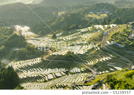 Maruyama Senjita Evening landscape Maruyama Senjita Evening landscape 55239557