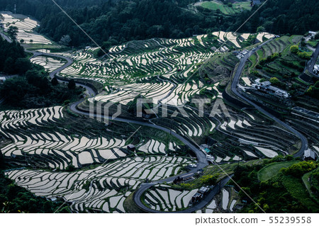 Maruyama Senjita Evening landscape Maruyama Senjita Evening landscape 55239558