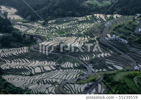 Maruyama Senjita Evening landscape Maruyama Senjita Evening landscape 55239559