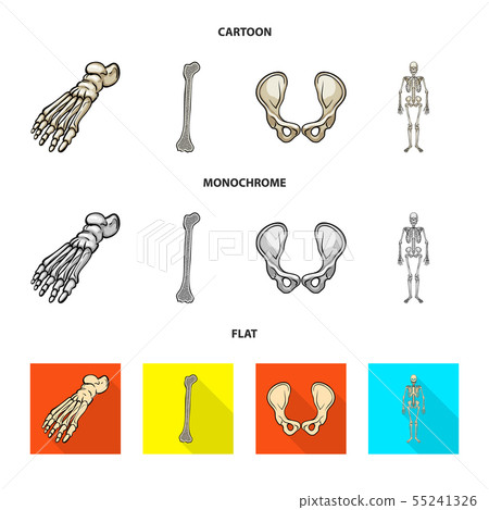 Isolated object of medicine and clinic sign. Set of medicine and medical stock symbol for web. 55241326