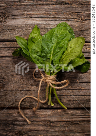 bunch of spinach on wooden background Top view bunch of spinach on wooden background Top view 55242548