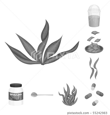 Vector illustration of plant and weed icon. Set of plant and sea vector icon for stock. Vector illustration of plant and weed icon. Set of plant and sea vector icon for stock. 55242983
