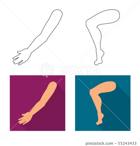 Vector illustration of body and part icon. Collection of body and anatomy stock vector illustration. Vector illustration of body and part icon. Collection of body and anatomy stock vector illustration. 55243433